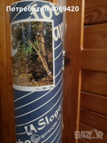 Цветен фототапет, снимка 2 - Декорация за дома - 51238295