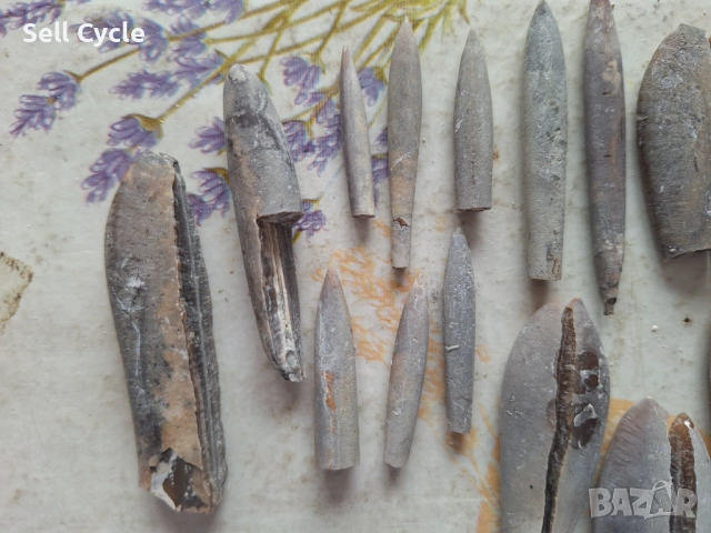 ✅ФОСИЛИ - БЕЛЕМНИТИ - ШУМЕН❗, снимка 2 - Колекции - 53432058