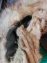 Естествен шал лисица, снимка 5