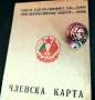Рядка значка ”Сталин - Димитров” с членска карта на Съюза на българо-съветските дружества, снимка 1