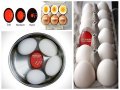 Таймер за варене на яйца с променящи се цветове, снимка 3