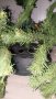 Коледна елха, снимка 3