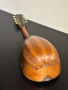 Стара Италианска Мандолина, снимка 9