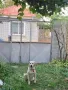 Къща в центъра на с. Мараш, снимка 13