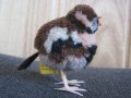  Колекционерска мека играчка Steiff Sparrow врабче, снимка 1