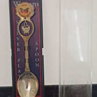 Сувенирна лъжичка с кутия, снимка 1 - Антикварни и старинни предмети - 39281793