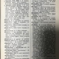 Латинско-български речник А-Z, снимка 6 - Чуждоезиково обучение, речници - 28519128