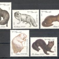 СССР, 1980 г. - пълна серия чисти марки, животни, 1*10, снимка 1 - Филателия - 39608904