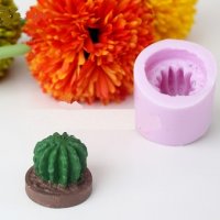 3D кактус в цилиндър силиконов молд форма шоколад фондан гипс свещ, снимка 2 - Форми - 26483413