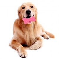 2 Х Дентална играчка за кучета във формата на кокал за здрави зъби, снимка 5 - Други стоки за животни - 33474050