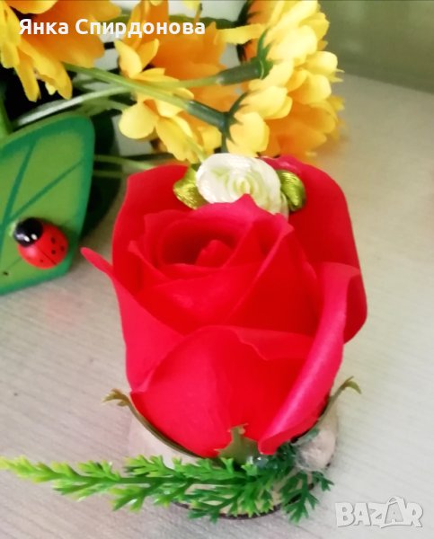 Вечна роза в подаръчна кутия, снимка 1