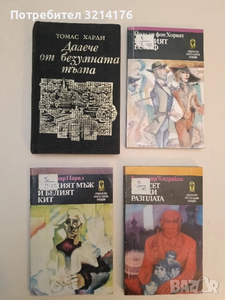 Младият мъж и белият кит - Владимир Парал, снимка 1