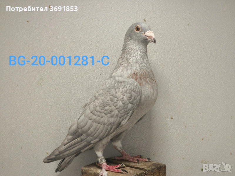 Цветни пощи, снимка 1