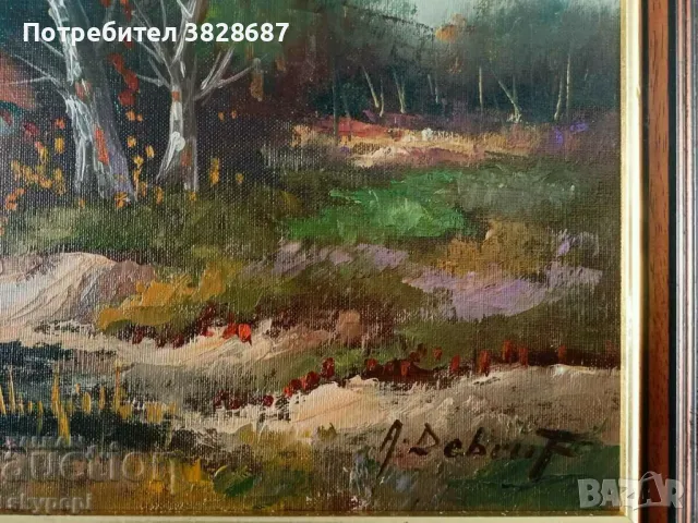 ПЕЙЗАЖ, снимка 3 - Картини - 48248025