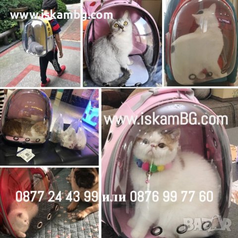 Прозрачна раница за транспортиране на котки и кучета  - КОД 2745, снимка 3 - За котки - 39938878