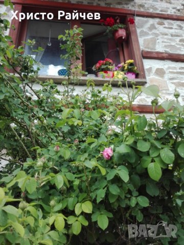 Продавам Родопска къща, снимка 2 - Къщи - 32371862