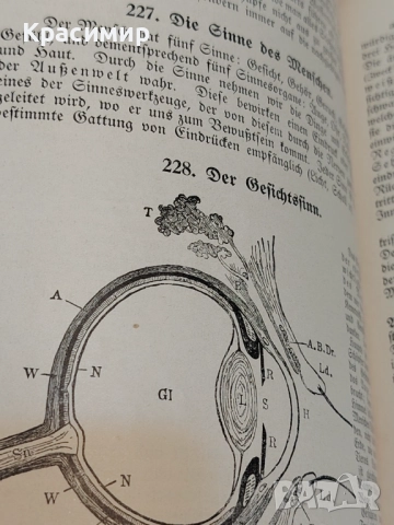 Realienbuch 1909 г. , снимка 5 - Специализирана литература - 52983514