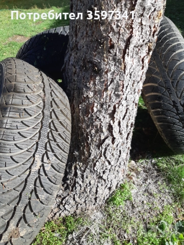 Голф 4 две джанти и 3 гуми 195/65/15, снимка 2 - Гуми и джанти - 52042487