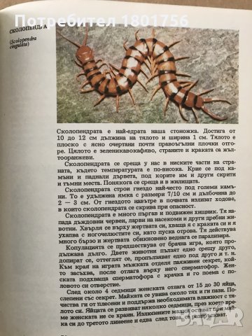 Атлас по зоология Безгръбначни животни - Павел Ангелов, снимка 5 - Енциклопедии, справочници - 28699631