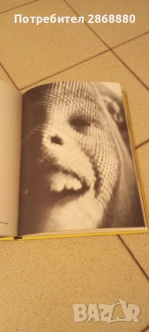 Not dark yet Tiong Ang, снимка 5 - Специализирана литература - 51843655