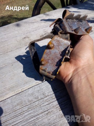 Стари котки #3, снимка 2 - Антикварни и старинни предмети - 27230414