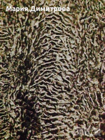 Скъпо модерно палто Астраган Swakara, снимка 10 - Палта, манта - 39069002