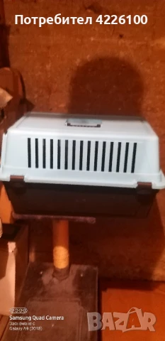 КАТЕРУШКА ЗА КОТКИ И ПРЕНОСИМА КЛЕТКА, снимка 5 - За котки - 50556707