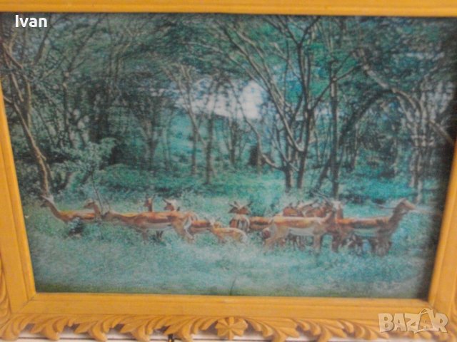 430х350-PVC Картина в Дървена Рамка Олекотена-Made in JAPAN-, снимка 10 - Картини - 39964302