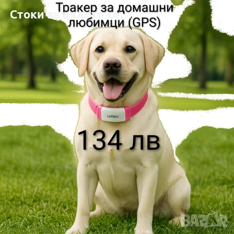 Тракер за домашни любимци (GPS)