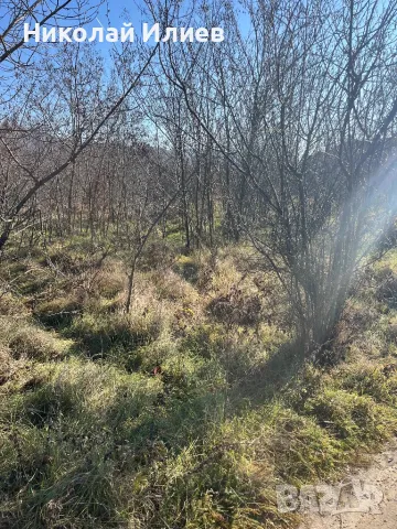 Парцел гр.Аксаково,м-т Кум Тепе, снимка 5 - Парцели - 48598073