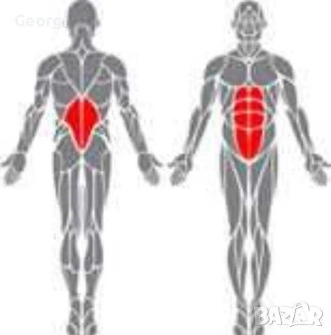 Пейка за гръбна екстензия/хиперекстензия/римски стол/фитнес уред/чугунени гири/Body's Sport, снимка 12 - Фитнес уреди - 51231597