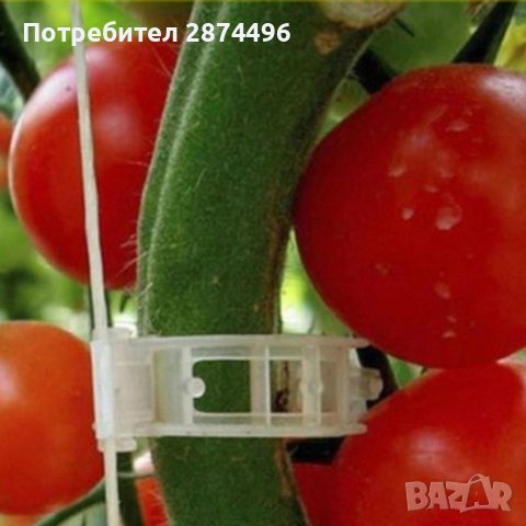 3691 50 броя клипс за поддържане на домати и растения, снимка 11 - Други - 37876716