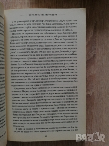 Любов. Копелето на Истанбул. Чест, Елиф Шафак, снимка 6 - Художествена литература - 53185367