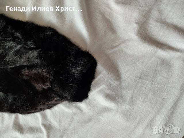 Дамско палто от норки, снимка 8 - Палта, манта - 53141265