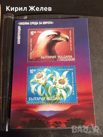 Пощенски блок марки чисти КОНФЕРЕНЦИЯ ОКОЛНА СРЕДА ЗА ЕВРОПА за КОЛЕКЦИОНЕРИ 46314, снимка 5 - Филателия - 47757621