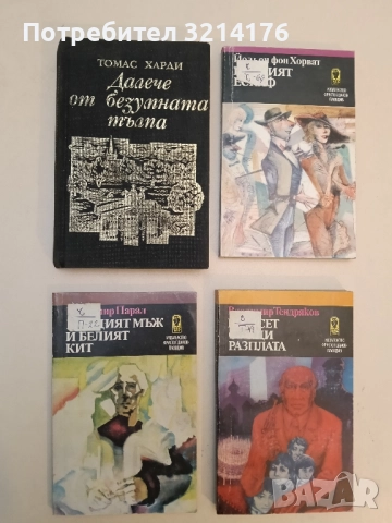 Младият мъж и белият кит - Владимир Парал