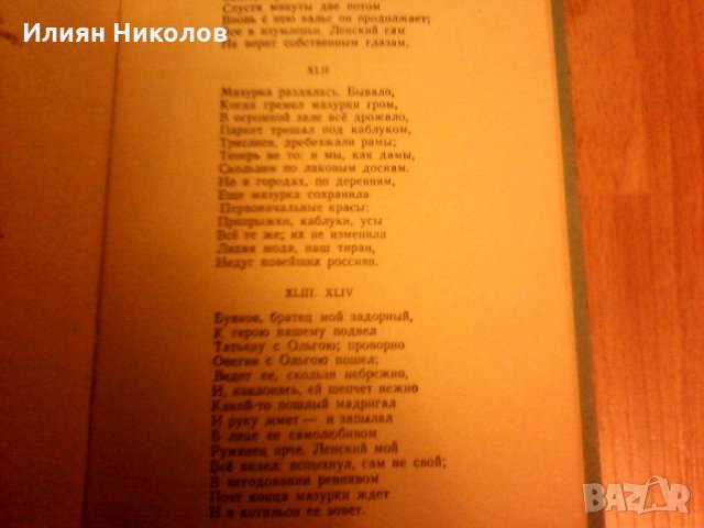 ЕВГЕНИЙ ОНЕГИН 1948, снимка 5 - Художествена литература - 28790235