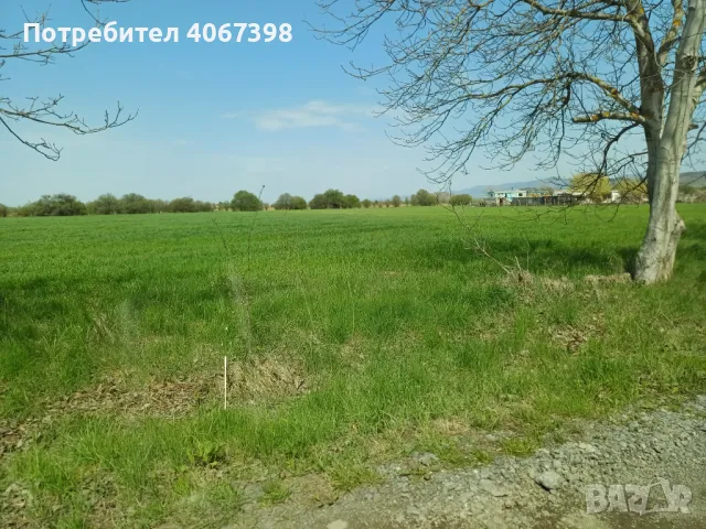 Парцел с.Караполци, община Елин Пелин, област София, снимка 4 - Парцели - 49859638