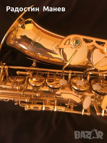 Продавам алт саксофон ELKHART deluxe, снимка 10 - Духови инструменти - 51074600