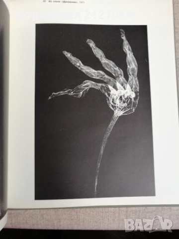 Стасис Красаускас Графика. Живопис , снимка 4 - Специализирана литература - 51554157