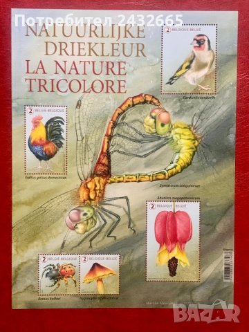 1315. Белгия 2021 = “ Флора и Фауна.  Живот в цветовете на Белгийското знаме ” , MNH