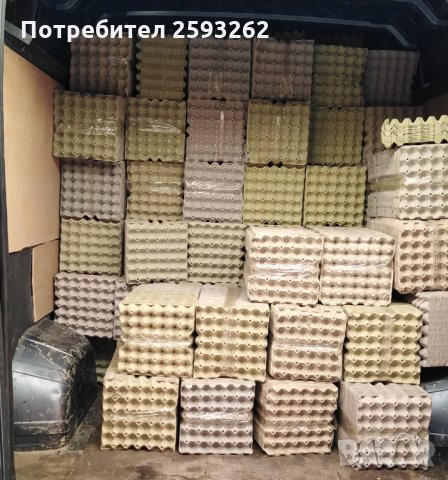 Продавам кори за яйца , снимка 8 - Кокошки и пуйки - 28068248