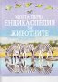 Научно популярни детски списания, енциклопедии, BRITANICA, KFK, Фют, снимка 10