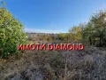 Къща в село Крепост общ. Димитровград, снимка 12
