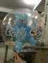 Прозрачен кръгъл балон вътре с мече фолио фолиев балон хелий въздух парти рожден ден кръщене бебе, снимка 2