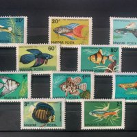 593. Унгария 1962 ~ “ Фауна. Тропически и аквариумни риби ” ,**,MNH, снимка 1 - Филателия - 33292576