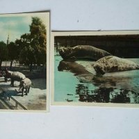 Албуми с картички от СССР Ленинград, снимка 8 - Колекции - 28969987