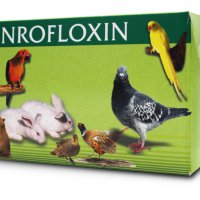 Енрофлоксин 15 мг. - таблетки за малки домашни любимци, снимка 2 - За птици - 39365019