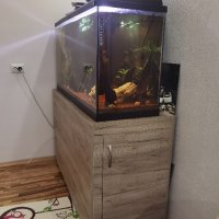 Продавам аквариум с шкаф 300 л, снимка 2 - Аквариуми - 44132434