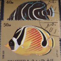 Пощенски марки две серии ЕКВАТОРИАЛНИ РИБИ ПЕРФЕКТНИ за КОЛЕКЦИЯ 37885 , снимка 6 - Филателия - 40476455